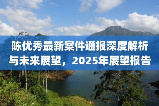 陳優(yōu)秀最新案件通報深度解析與未來展望，2025年展望報告