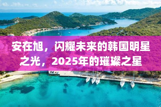 安在旭，閃耀未來的韓國明星之光，2025年的璀璨之星