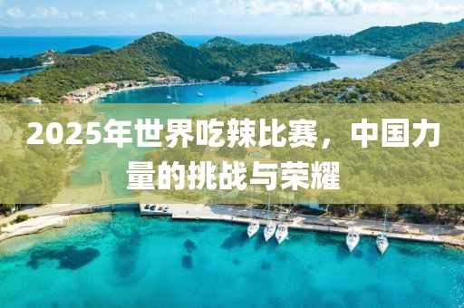 2025年世界吃辣比賽，中國力量的挑戰(zhàn)與榮耀