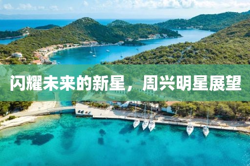閃耀未來的新星，周興明星展望