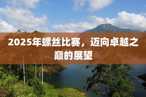 2025年螺絲比賽，邁向卓越之巔的展望