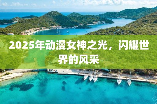 2025年動(dòng)漫女神之光，閃耀世界的風(fēng)采