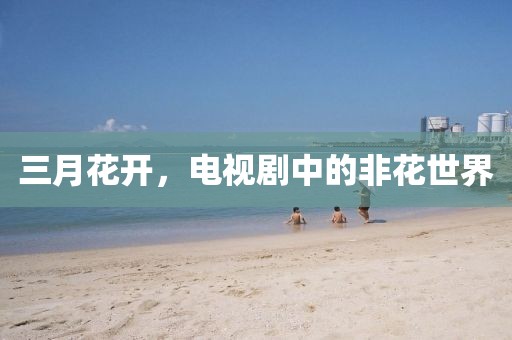 三月花開(kāi)，電視劇中的非花世界