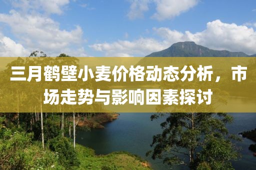 三月鶴壁小麥價(jià)格動(dòng)態(tài)分析，市場(chǎng)走勢(shì)與影響因素探討