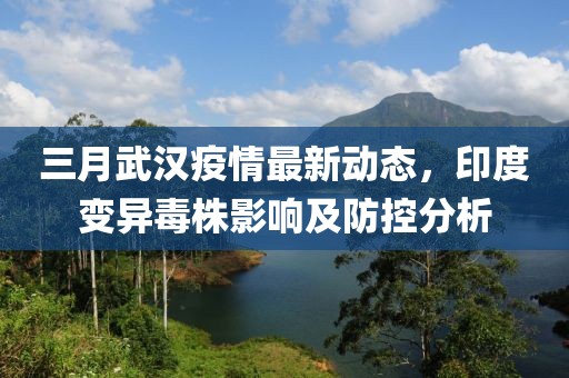 三月武漢疫情最新動態(tài)，印度變異毒株影響及防控分析