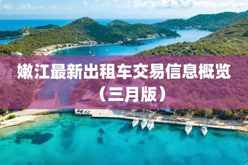 嫩江最新出租車交易信息概覽（三月版）