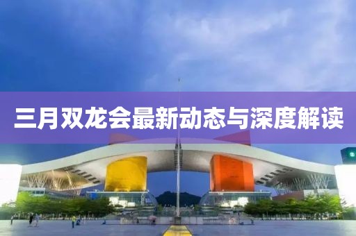 三月雙龍會最新動態(tài)與深度解讀