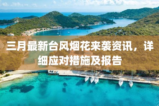 三月最新臺風(fēng)煙花來襲資訊，詳細(xì)應(yīng)對措施及報告