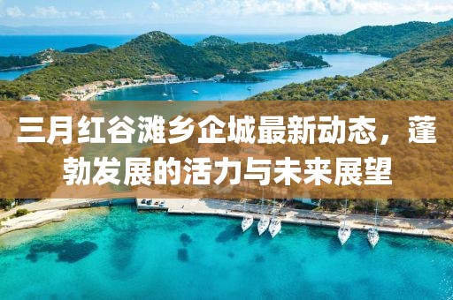 三月紅谷灘鄉(xiāng)企城最新動(dòng)態(tài)，蓬勃發(fā)展的活力與未來(lái)展望