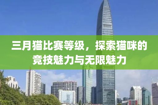 三月貓比賽等級，探索貓咪的競技魅力與無限魅力