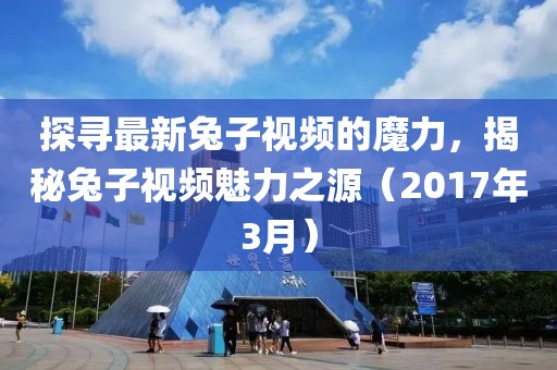 探尋最新兔子視頻的魔力，揭秘兔子視頻魅力之源（2017年3月）
