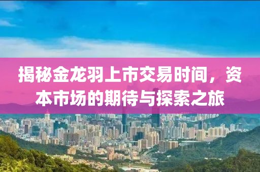 揭秘金龍羽上市交易時(shí)間，資本市場(chǎng)的期待與探索之旅