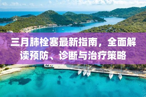 三月肺栓塞最新指南，全面解讀預(yù)防、診斷與治療策略