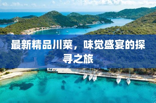 最新精品川菜，味覺盛宴的探尋之旅