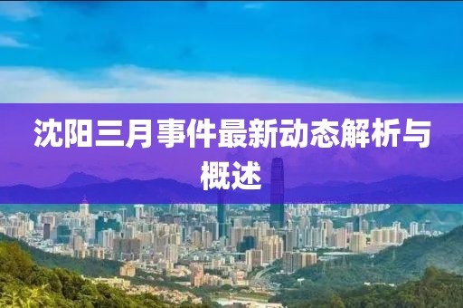 沈陽三月事件最新動(dòng)態(tài)解析與概述
