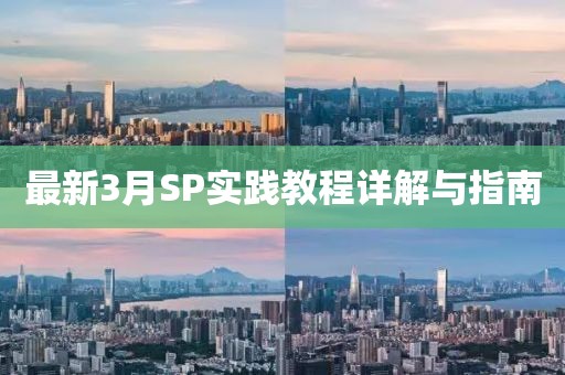 最新3月SP實踐教程詳解與指南