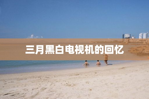三月黑白電視機的回憶