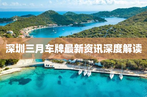 深圳三月車牌最新資訊深度解讀