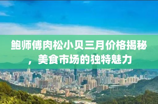 鮑師傅肉松小貝三月價格揭秘，美食市場的獨特魅力