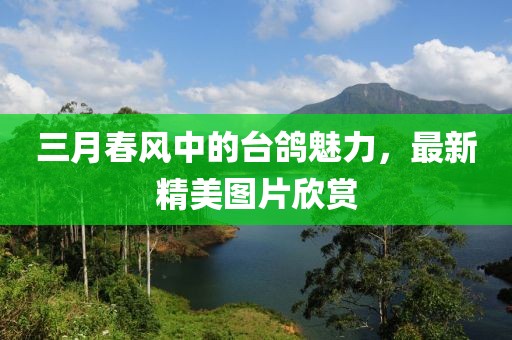 三月春風(fēng)中的臺鴿魅力，最新精美圖片欣賞