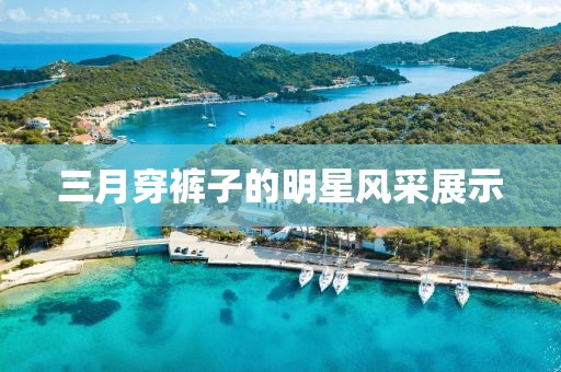 三月穿褲子的明星風(fēng)采展示