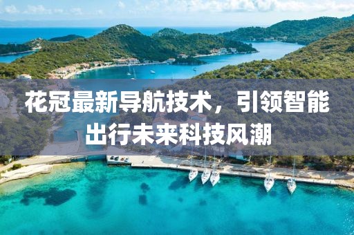 花冠最新導(dǎo)航技術(shù)，引領(lǐng)智能出行未來科技風(fēng)潮