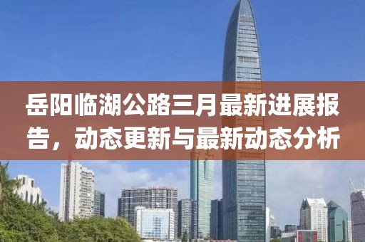 岳陽臨湖公路三月最新進展報告，動態(tài)更新與最新動態(tài)分析