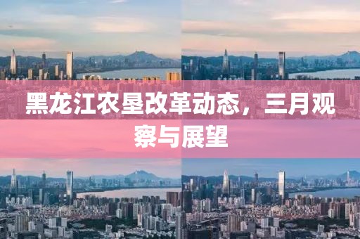 黑龍江農(nóng)墾改革動態(tài)，三月觀察與展望