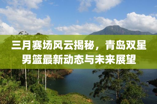 三月賽場風(fēng)云揭秘，青島雙星男籃最新動態(tài)與未來展望