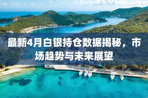 最新4月白銀持倉(cāng)數(shù)據(jù)揭秘，市場(chǎng)趨勢(shì)與未來展望