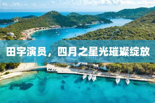 田宇演員，四月之星光璀璨綻放