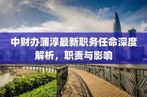 中財辦蒲淳最新職務(wù)任命深度解析，職責與影響