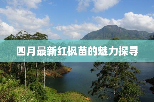 四月最新紅楓苗的魅力探尋