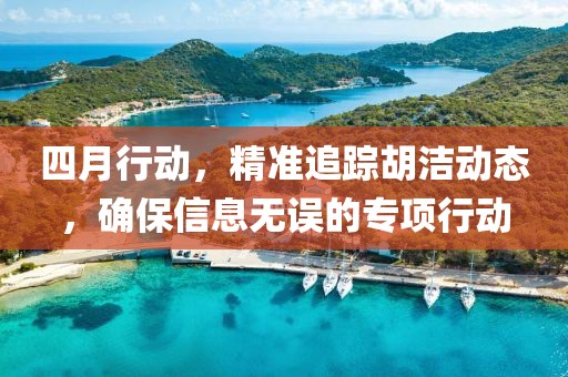 四月行動，精準追蹤胡潔動態(tài)，確保信息無誤的專項行動