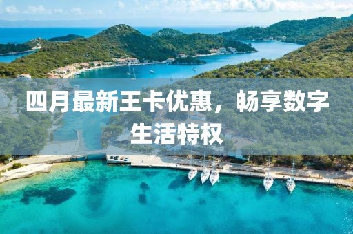 四月最新王卡優(yōu)惠，暢享數(shù)字生活特權(quán)