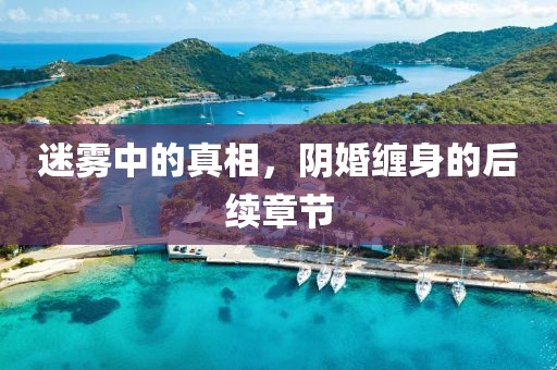 迷霧中的真相，陰婚纏身的后續(xù)章節(jié)