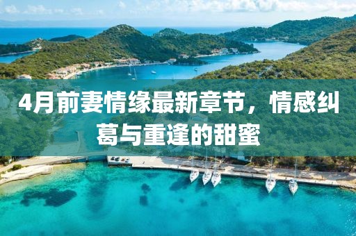 4月前妻情緣最新章節(jié)，情感糾葛與重逢的甜蜜