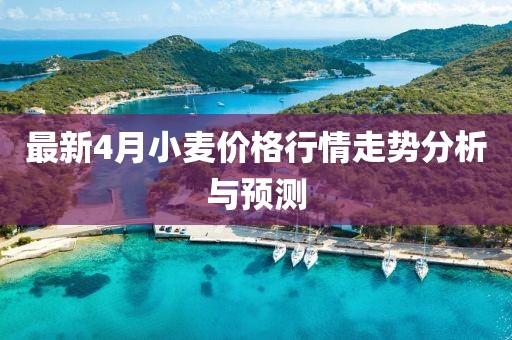 最新4月小麥價(jià)格行情走勢分析與預(yù)測