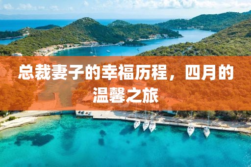 總裁妻子的幸福歷程，四月的溫馨之旅