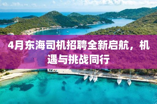 4月東海司機(jī)招聘全新啟航，機(jī)遇與挑戰(zhàn)同行