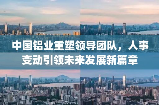 中國鋁業(yè)重塑領導團隊，人事變動引領未來發(fā)展新篇章