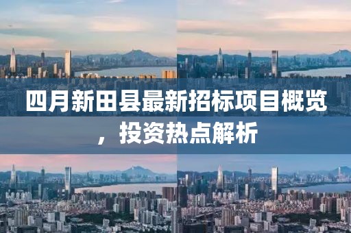 四月新田縣最新招標項目概覽，投資熱點解析