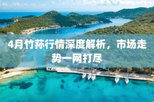 4月竹蓀行情深度解析，市場(chǎng)走勢(shì)一網(wǎng)打盡