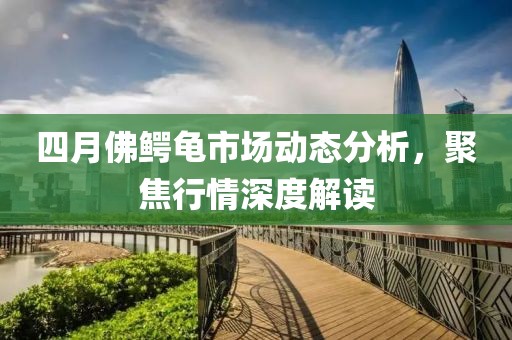 四月佛鱷龜市場動態(tài)分析，聚焦行情深度解讀