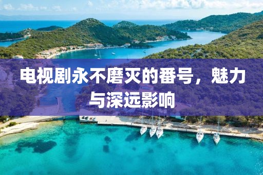 電視劇永不磨滅的番號，魅力與深遠(yuǎn)影響