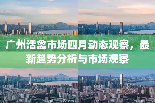 廣州活禽市場(chǎng)四月動(dòng)態(tài)觀察，最新趨勢(shì)分析與市場(chǎng)觀察