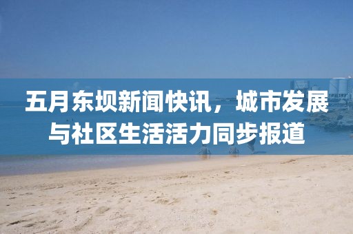 五月東壩新聞快訊，城市發(fā)展與社區(qū)生活活力同步報道