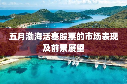 五月渤?；钊善钡氖袌霰憩F(xiàn)及前景展望