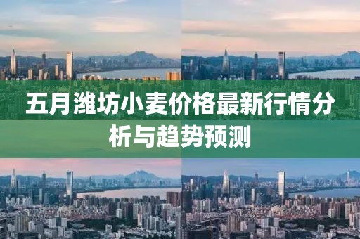 五月濰坊小麥價格最新行情分析與趨勢預測