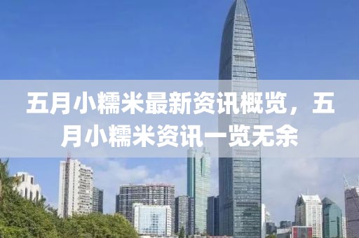 五月小糯米最新資訊概覽，五月小糯米資訊一覽無余